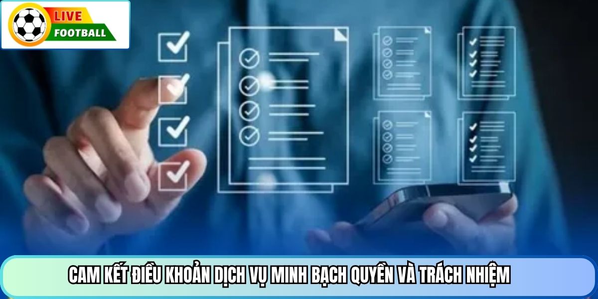 Cam kết điều khoản dịch vụ minh bạch quyền và trách nhiệm