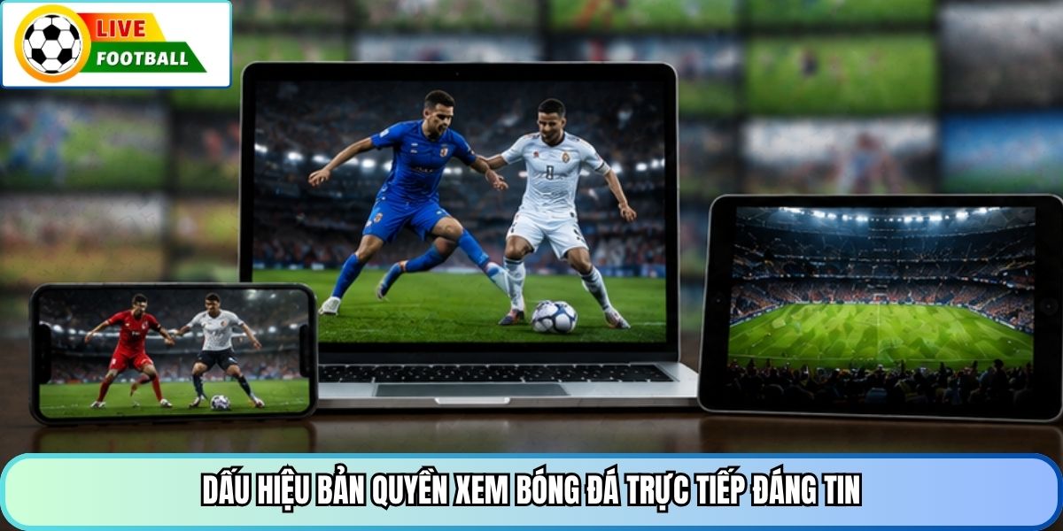 Dấu hiệu bản quyền xem bóng đá trực tiếp đáng tin