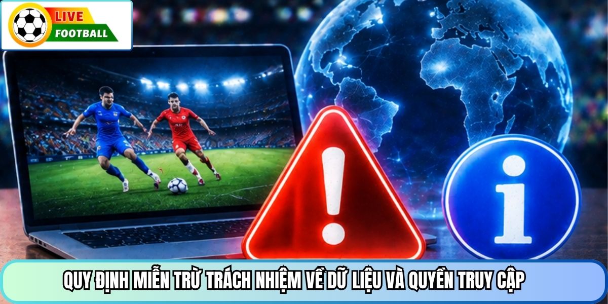 Quy định miễn trừ trách nhiệm về dữ liệu và quyền truy cập