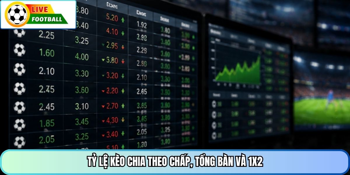 Tỷ lệ kèo chia theo chấp, tổng bàn và 1x2