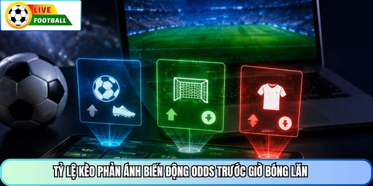 Tỷ lệ kèo phản ánh biến động odds trước giờ bóng lăn
